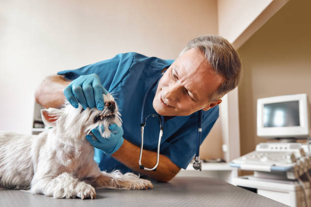 Best Emergency Dentist for Special Needs Patients in Friars Point, MS